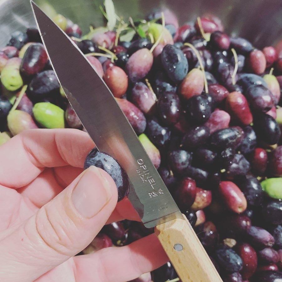 Opinel Paring knife