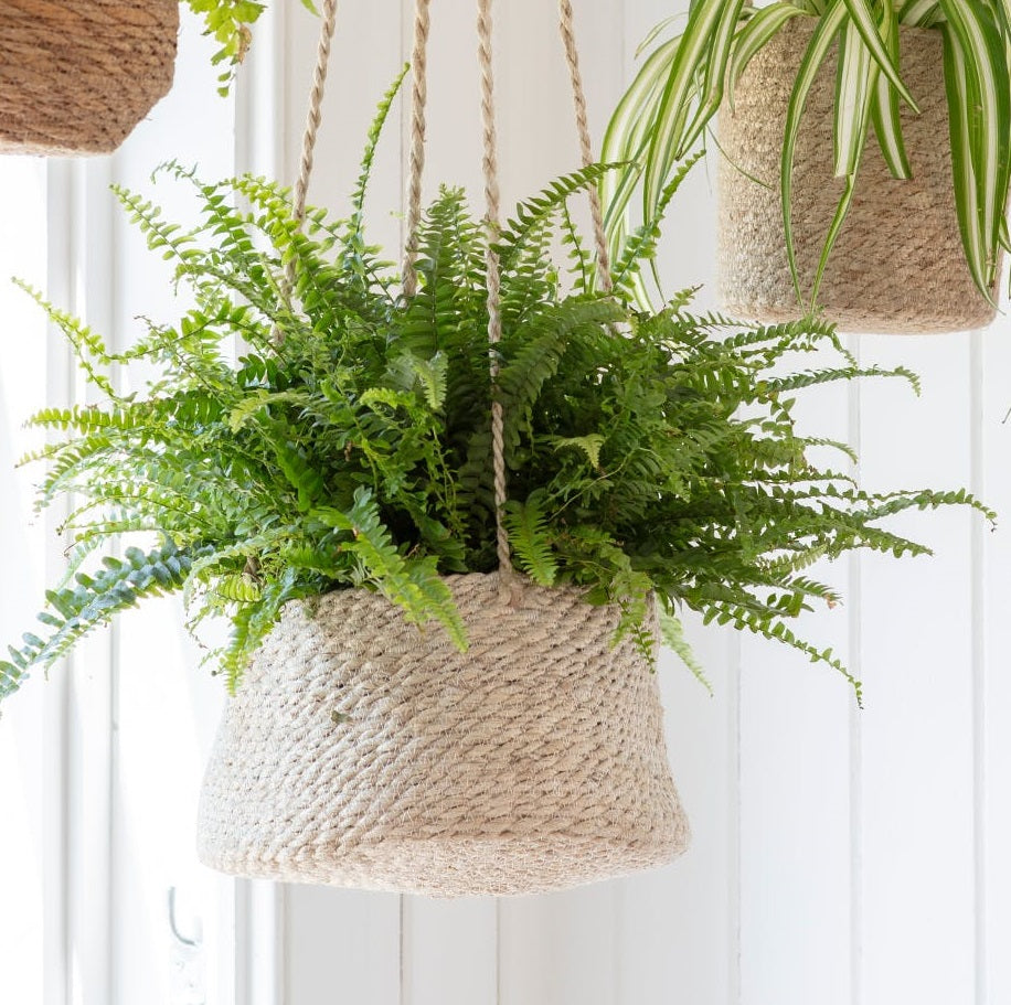 Hanging Jute Planter