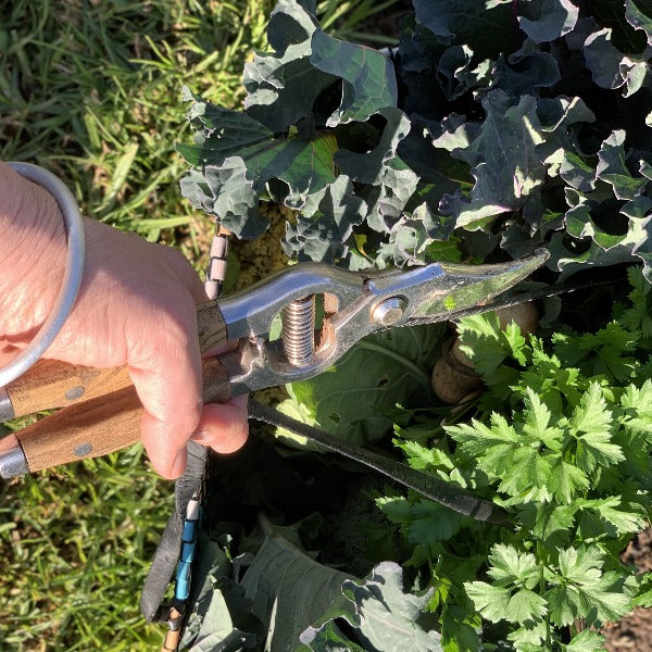 Wooden Secateurs