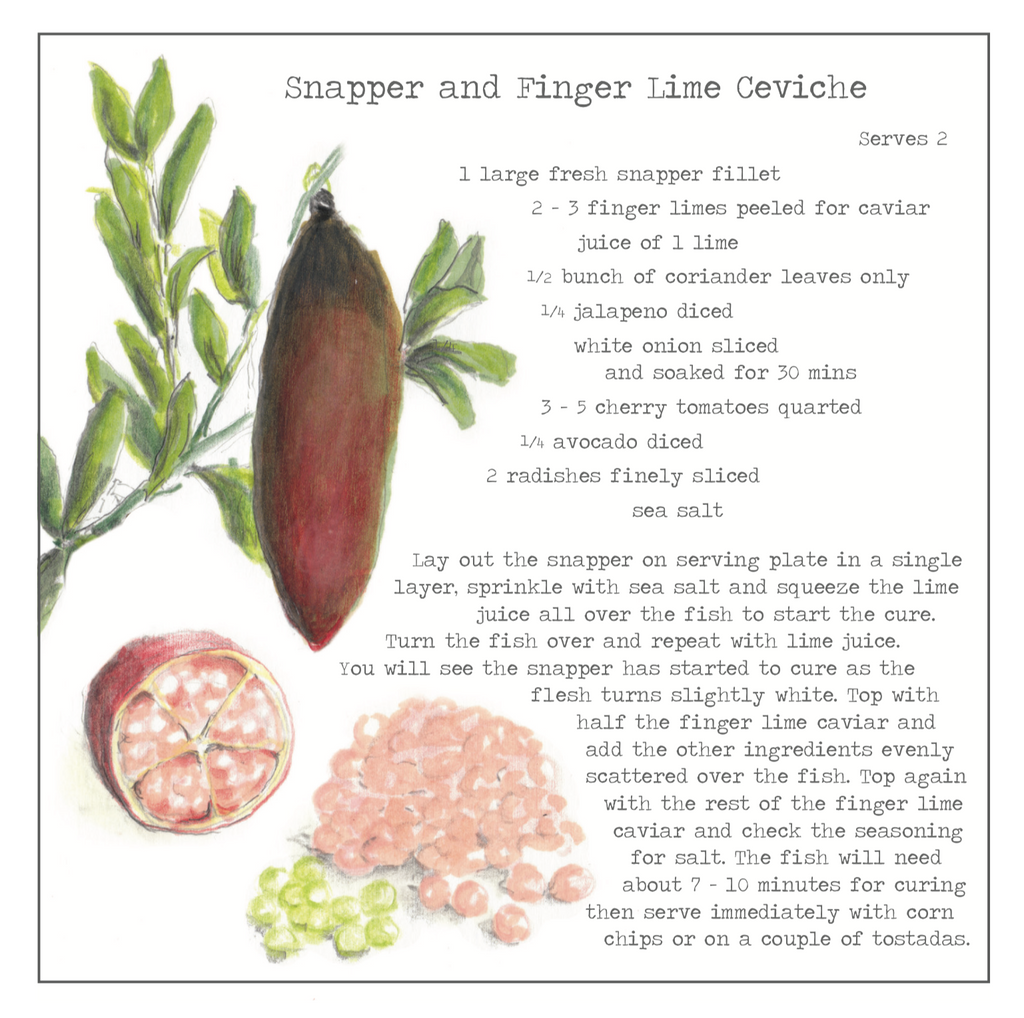 Snapper & Finger Lime Ceviche Recipe Greeting card
