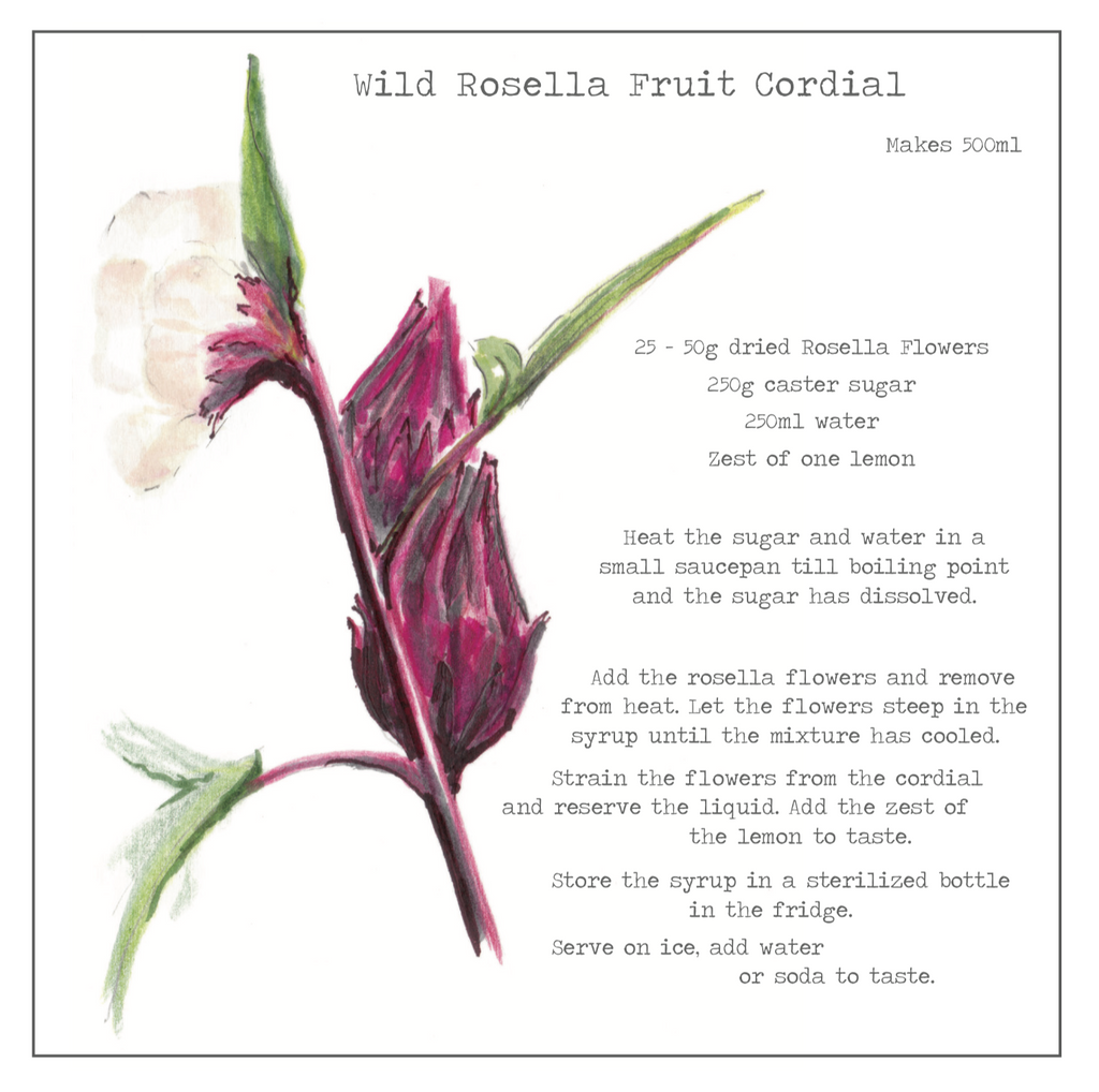 Wild Rosella Fruit Cordial Recipe Greeting card