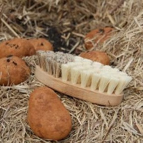 Eco Vege brush